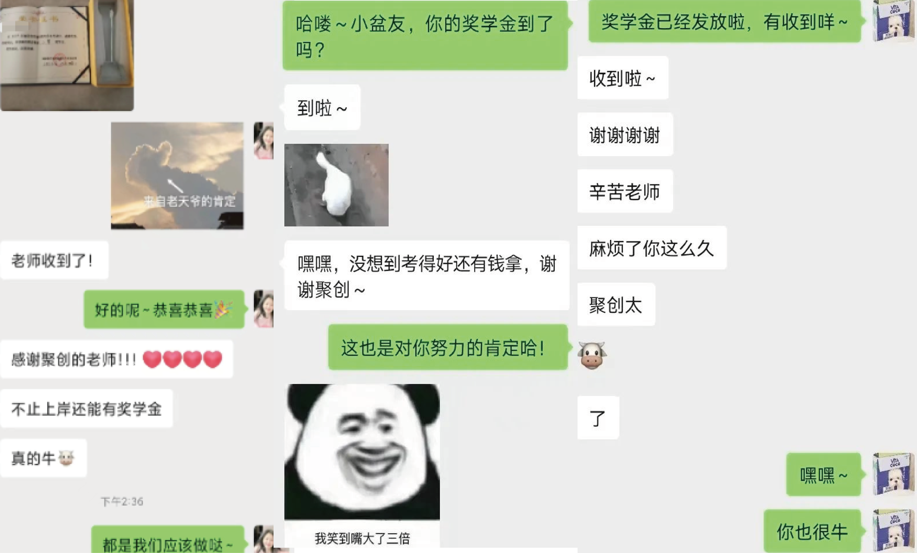 66_画板 1.png 66_画板 1.png